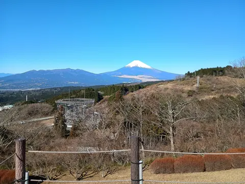 山中城
