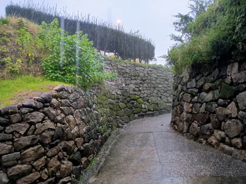 岡崎城 5