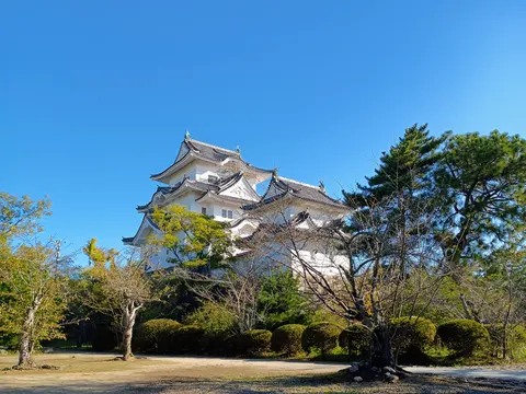 伊賀上野城