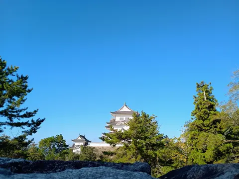 伊賀上野城 5
