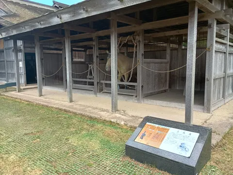 根城 7