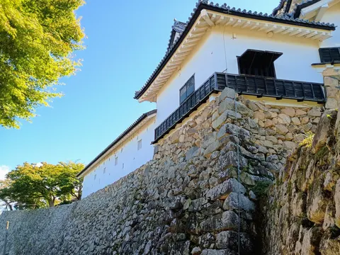 彦根城 4