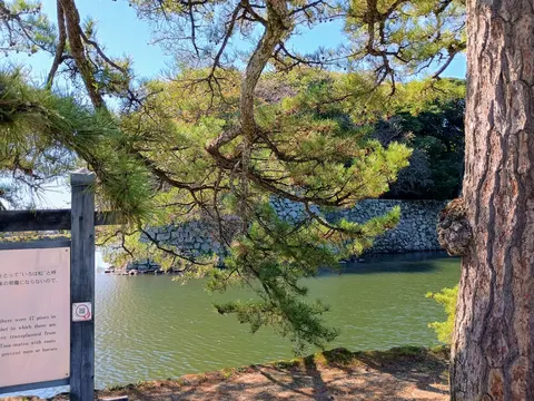 彦根城 9