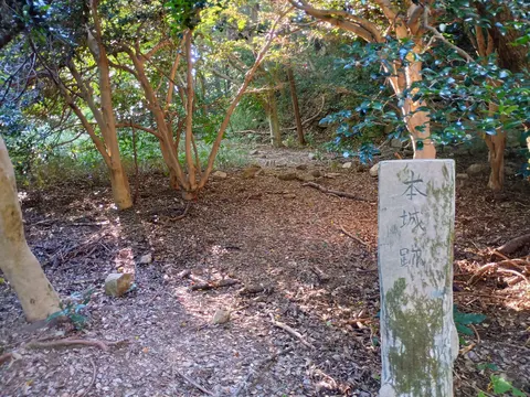 観音寺城 2