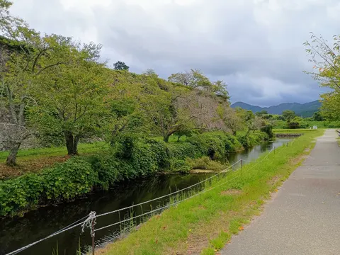 篠山城 7