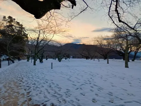 鳥取城 5