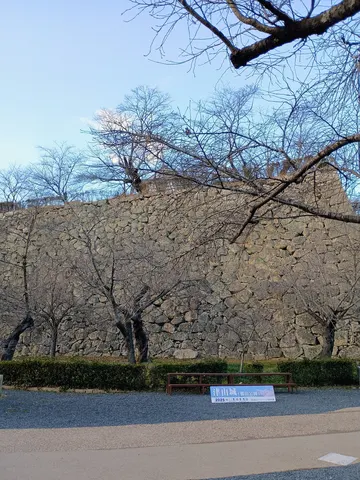 津山城 5
