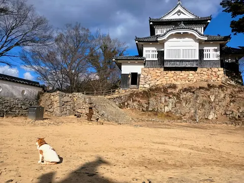 備中松山城