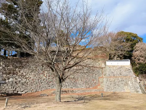 備中松山城 3