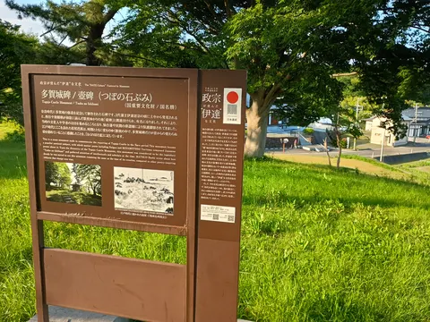 多賀城 9