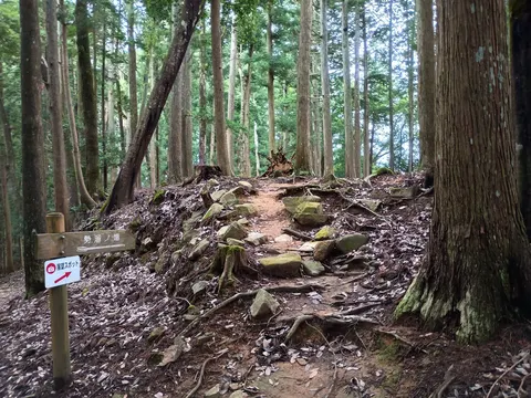 吉田郡山城 7