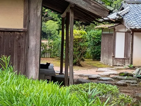 萩城 10