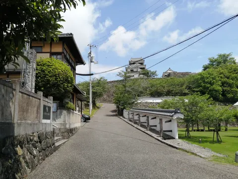 大洲城 5