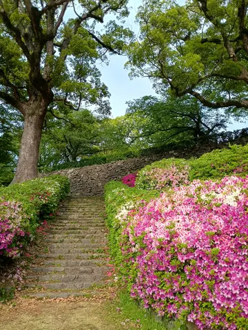 福岡城 5