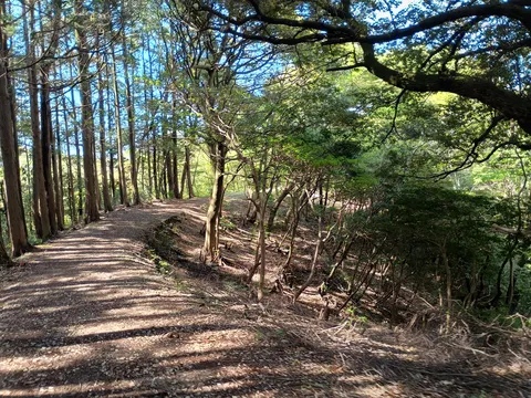 大野城 6