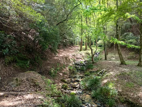 大野城 8