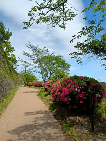 岡城 6