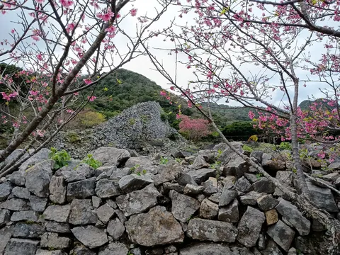 今帰仁城 5